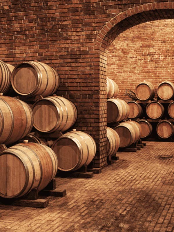 Wine Cellar Tour & Tasting